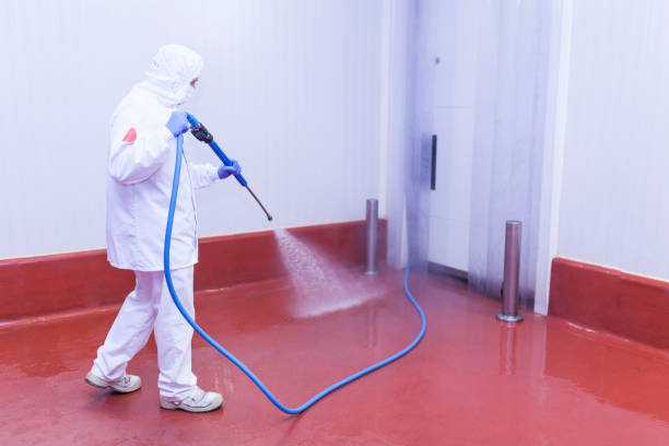 Trusted Colonia, NJ Pressure Washing Services Experts